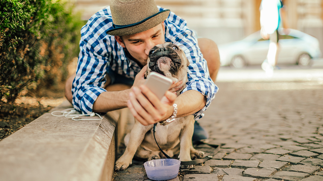 Zelle Consumer FAQ